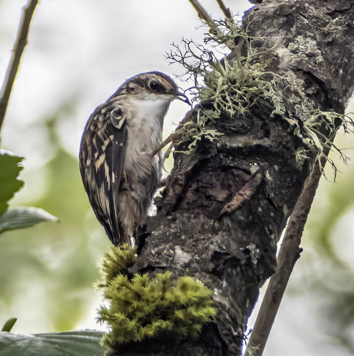 P9070586-Edit.jpg