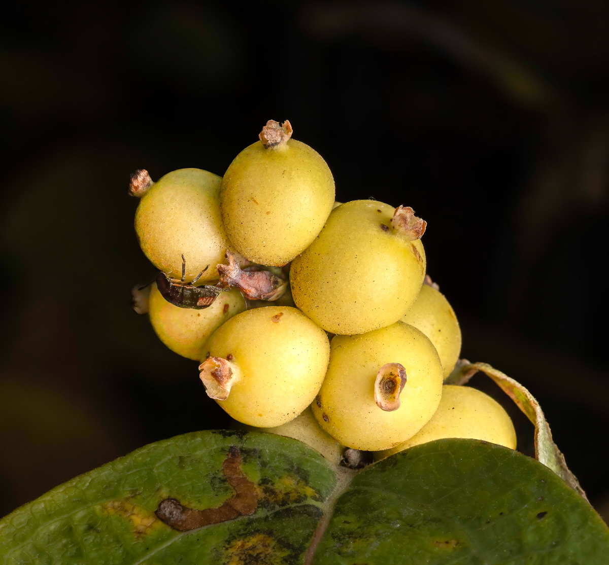 PA190953-Edit.jpg