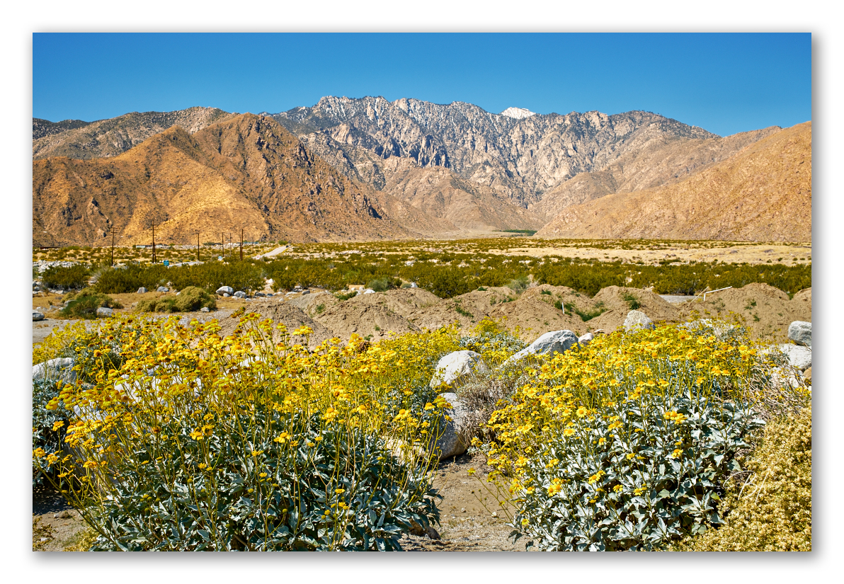 Palm Springs 041124-12-Edit_1192x825_U_100_Long Edge.jpg