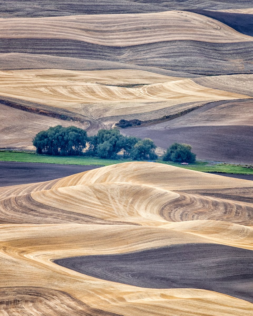 Palouse-2cropped.jpg