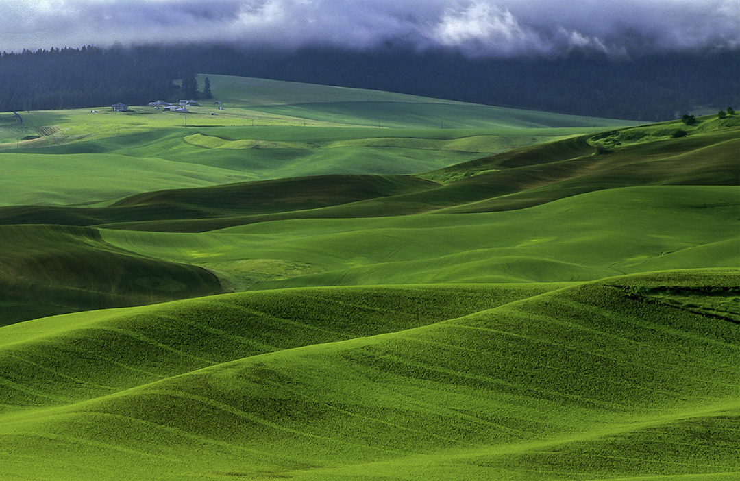 Palouse Hills.jpg