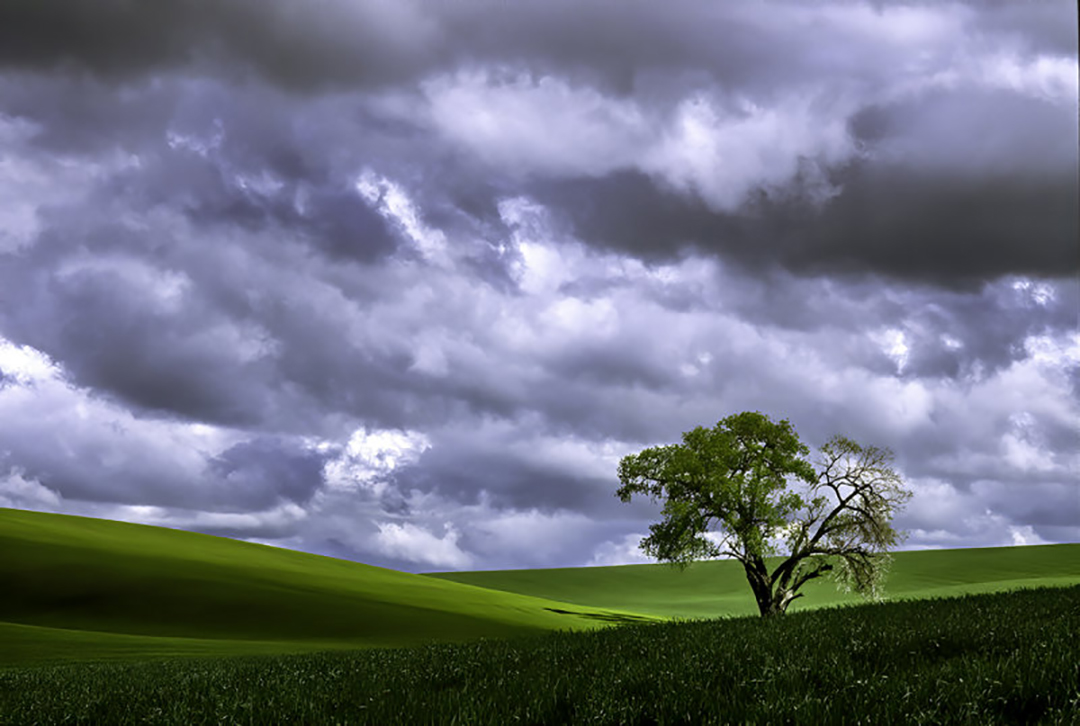 palouse.jpg