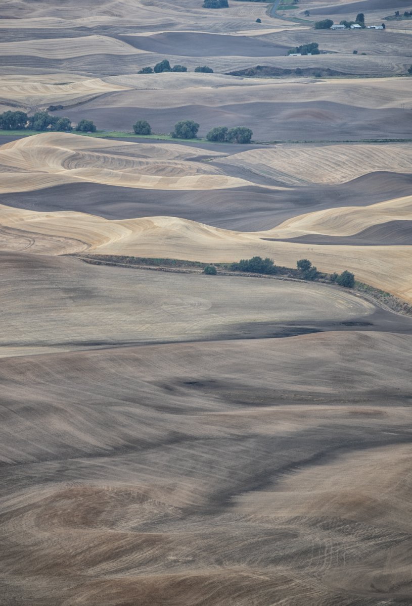 Palouse1.jpg