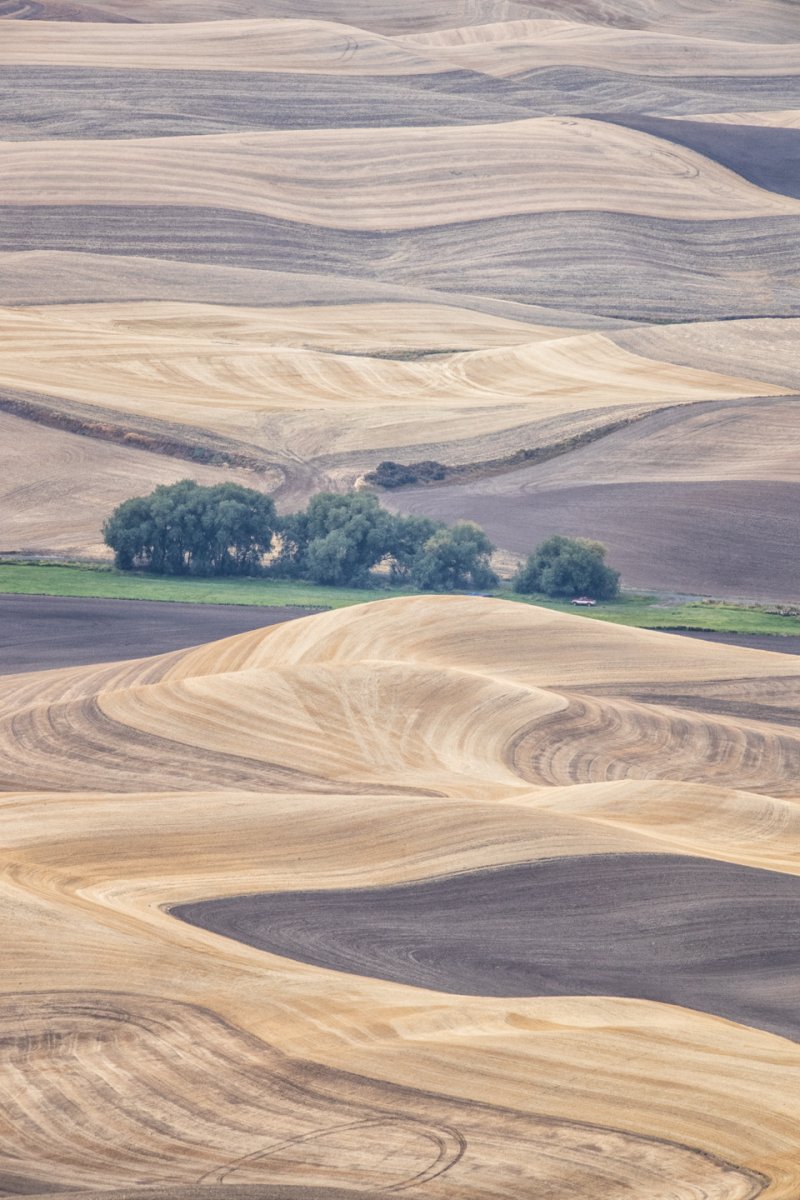 Palouse2.jpg
