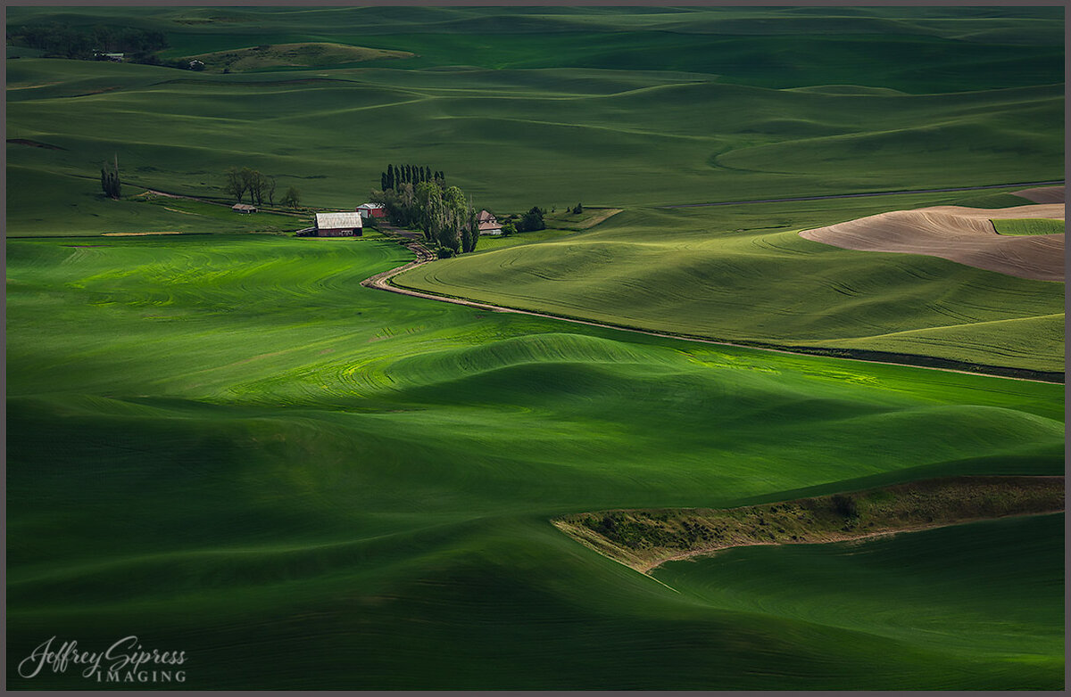 palousehills1.jpg