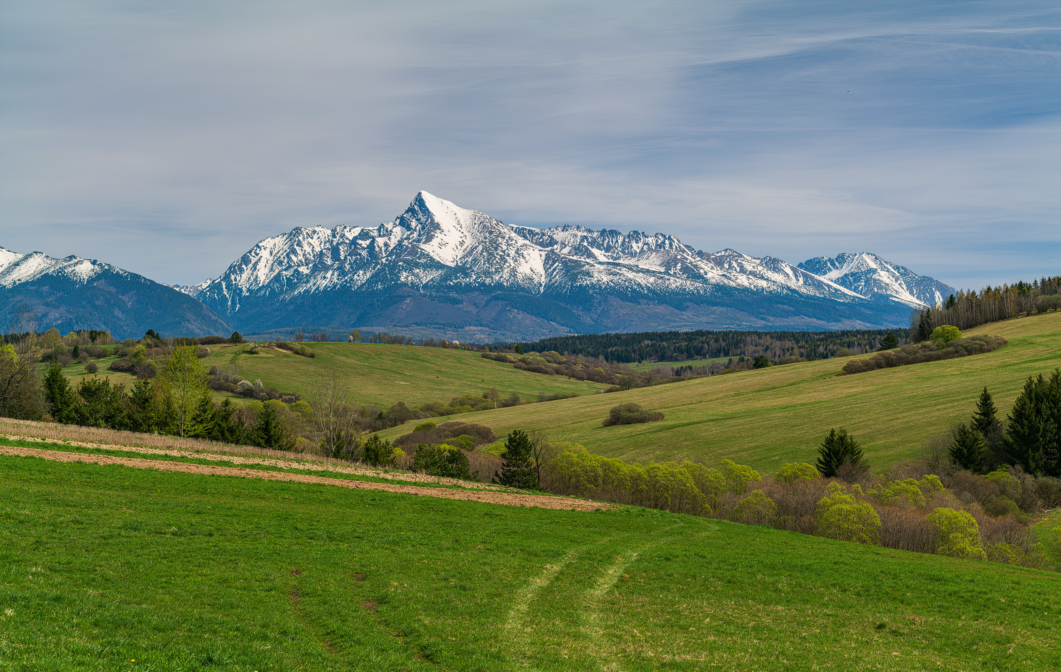 PANASONIC_DC-S1R TGArt 20x30 kopie.jpg