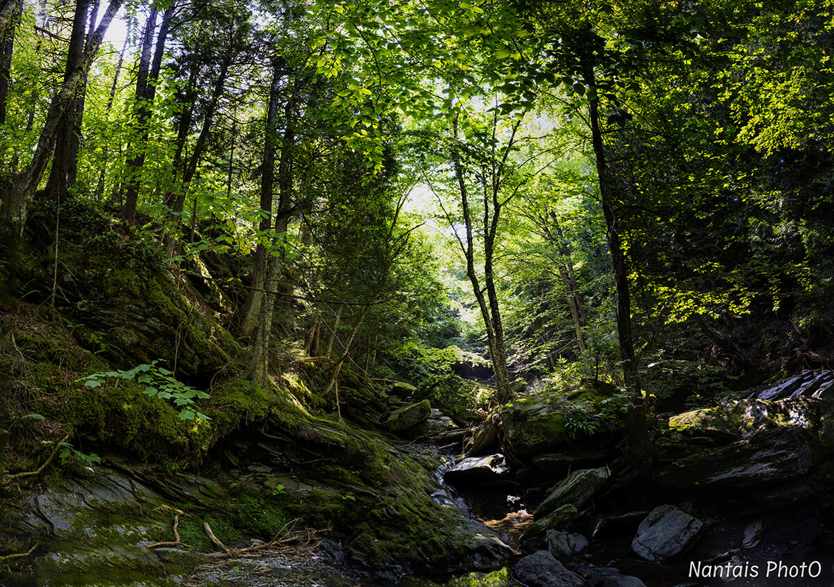 Panorama ruisseau_1s.jpg