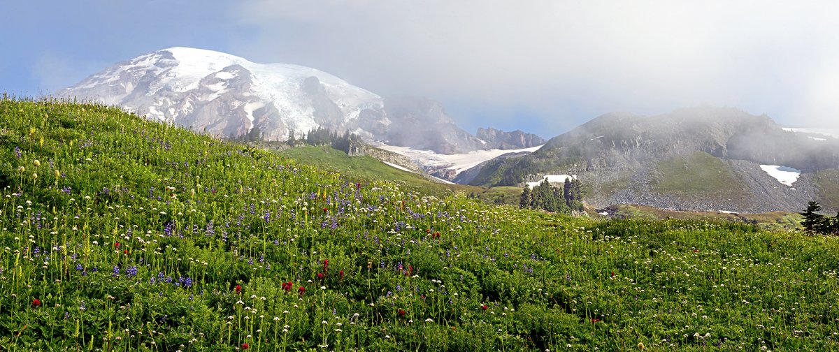 Paradise pano of Mt III.jpg