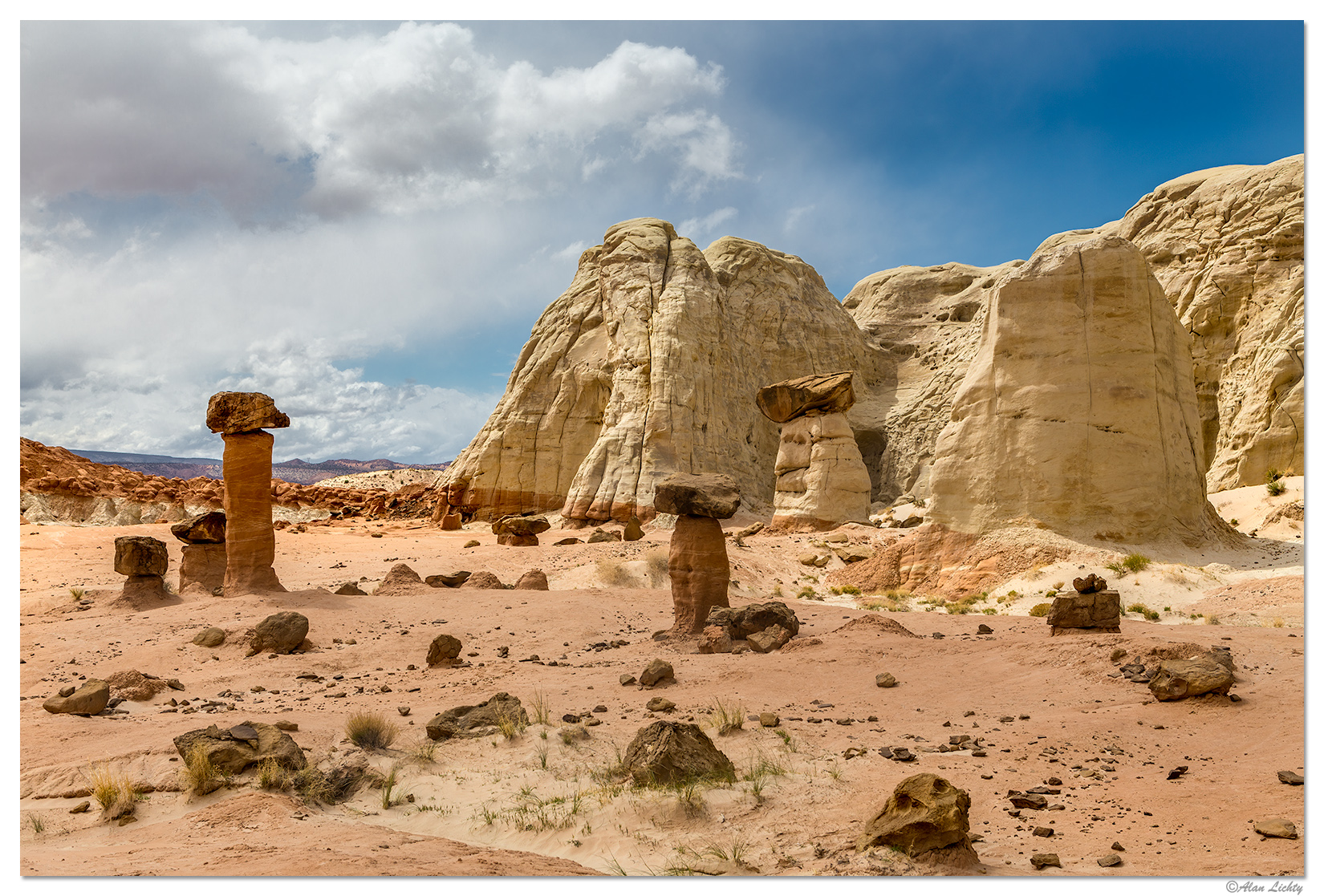 PariaToadstool12.jpg