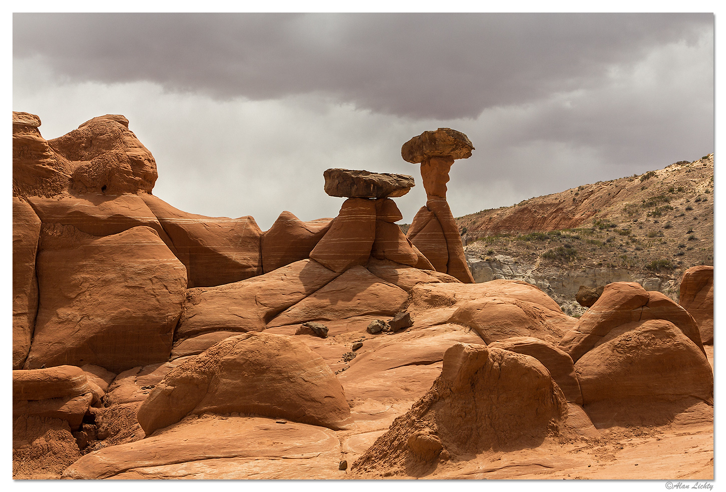 PariaToadstool6.jpg