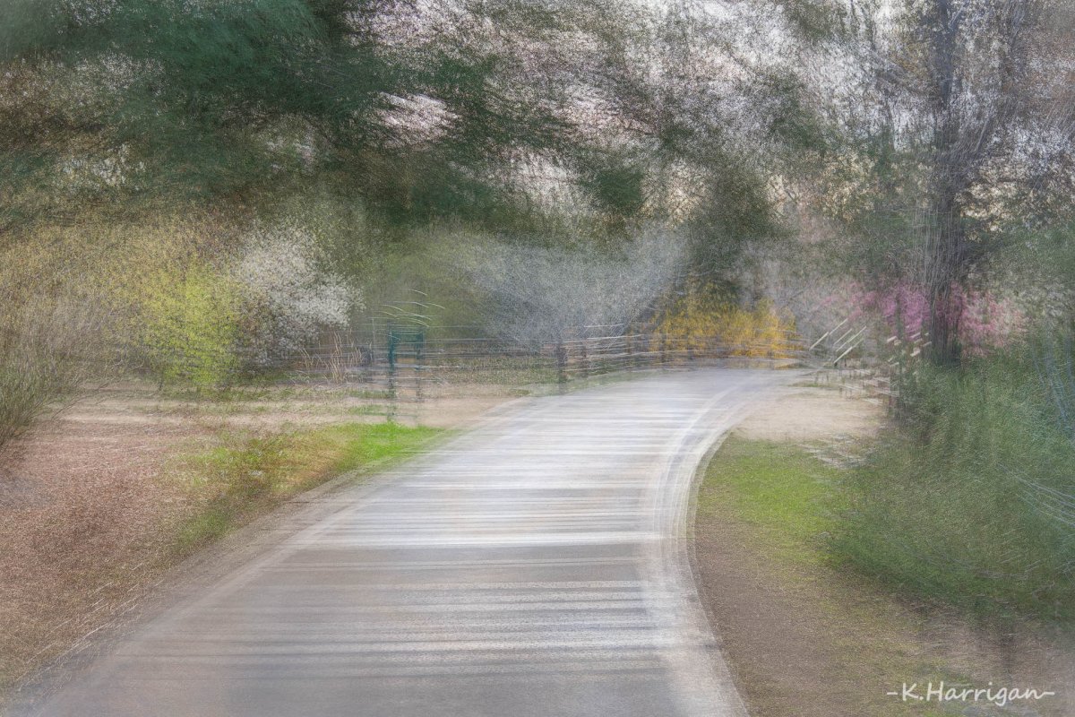 Parisienne Walkway.jpg