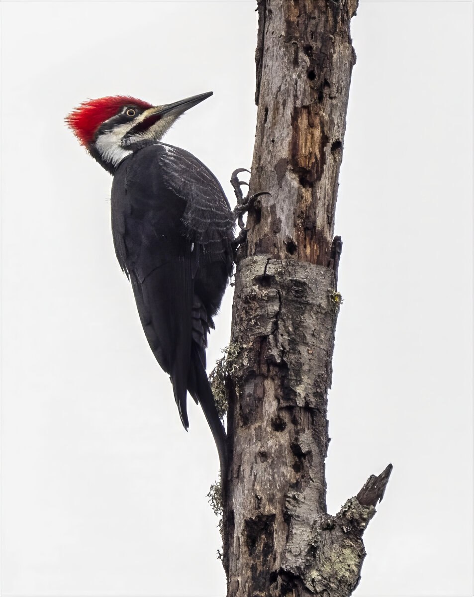 PB212542-Edit-2.jpg