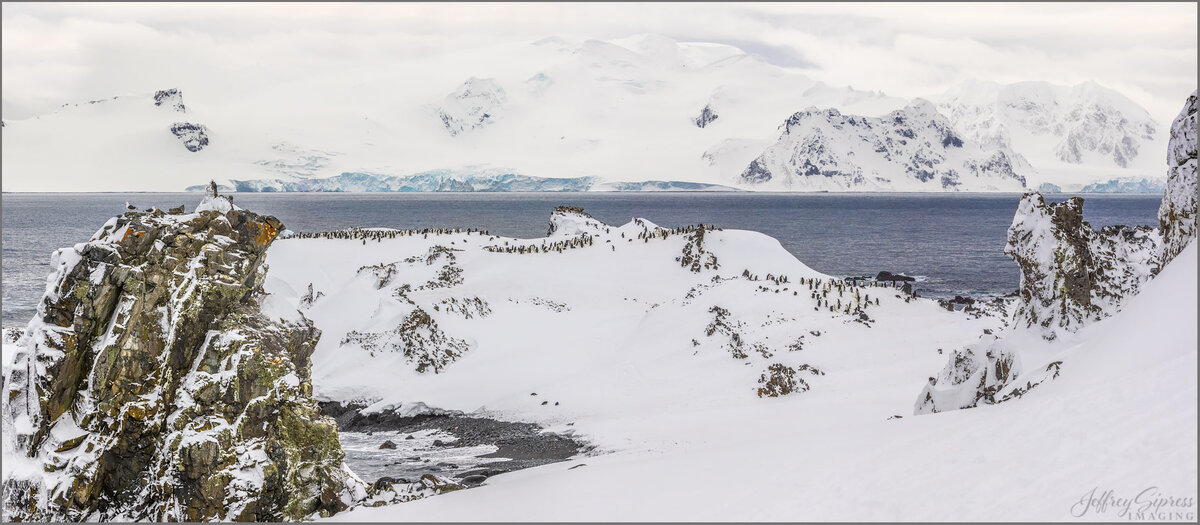 penguinpano1.jpg