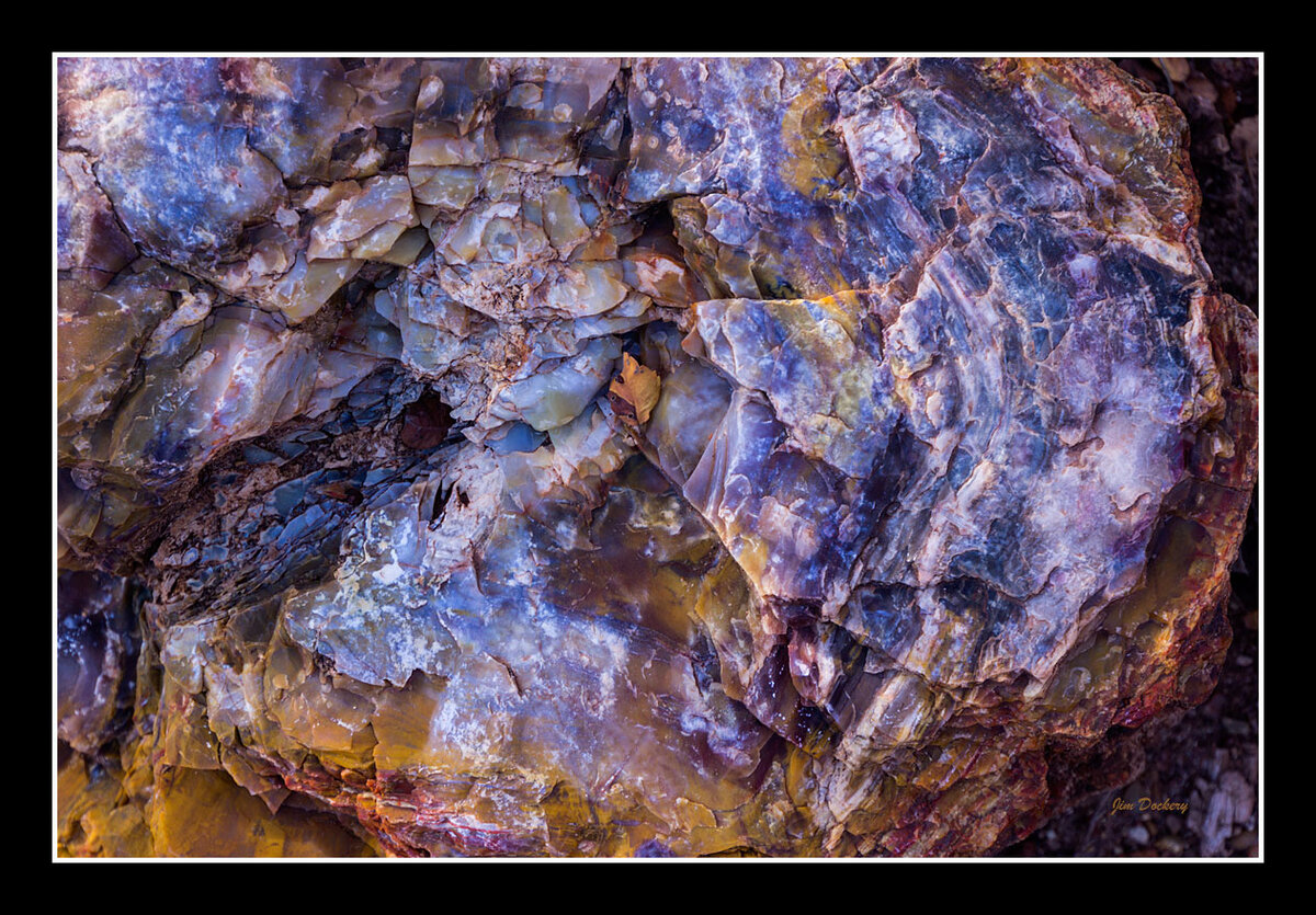 Petrified-Forest-SP-(153).jpg