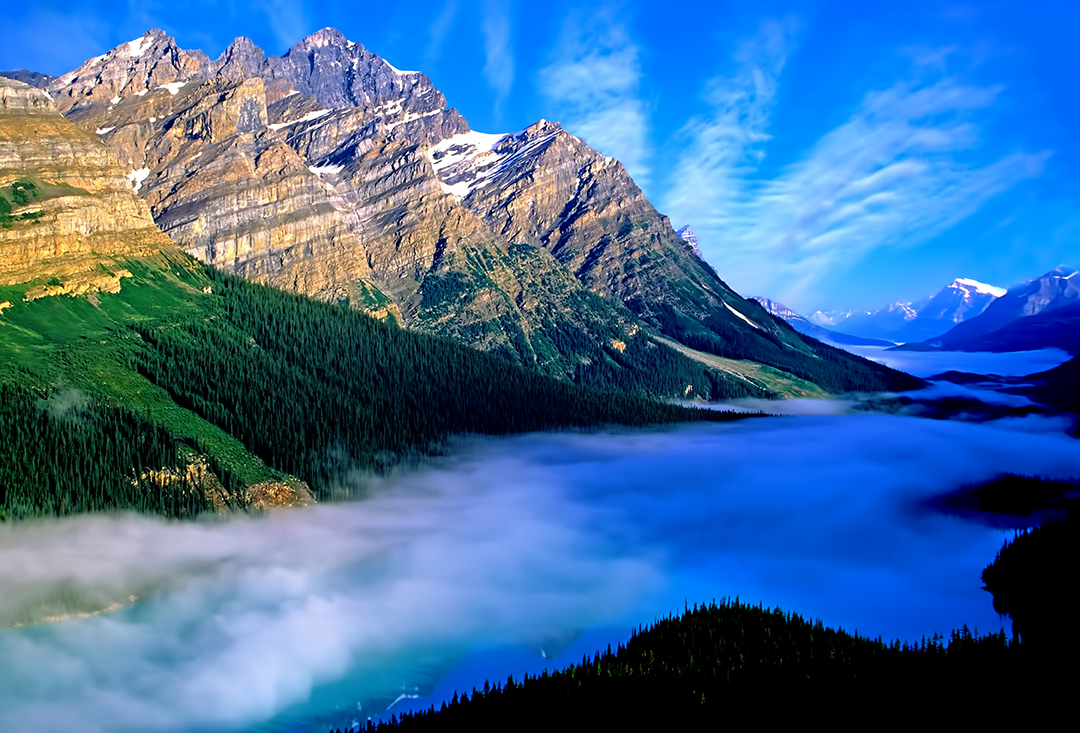 peyto fog II.jpg