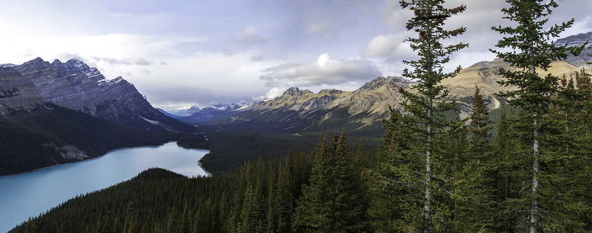 Peyto Lake fall trip Panorama.jpg