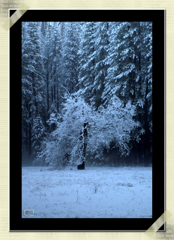 PICT3517Frame.jpg