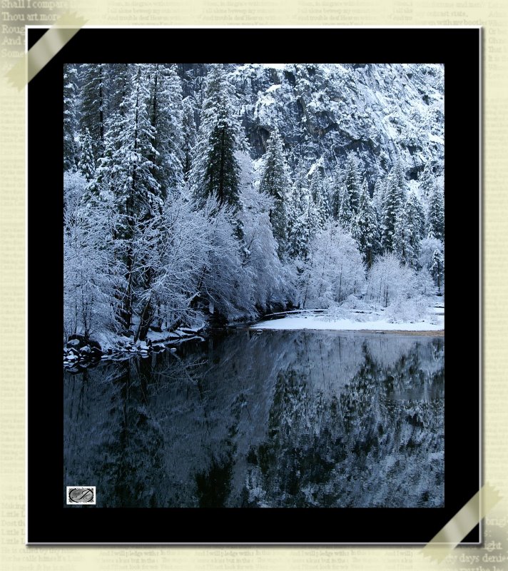 PICT3563RiverBankTreeFrame.jpg
