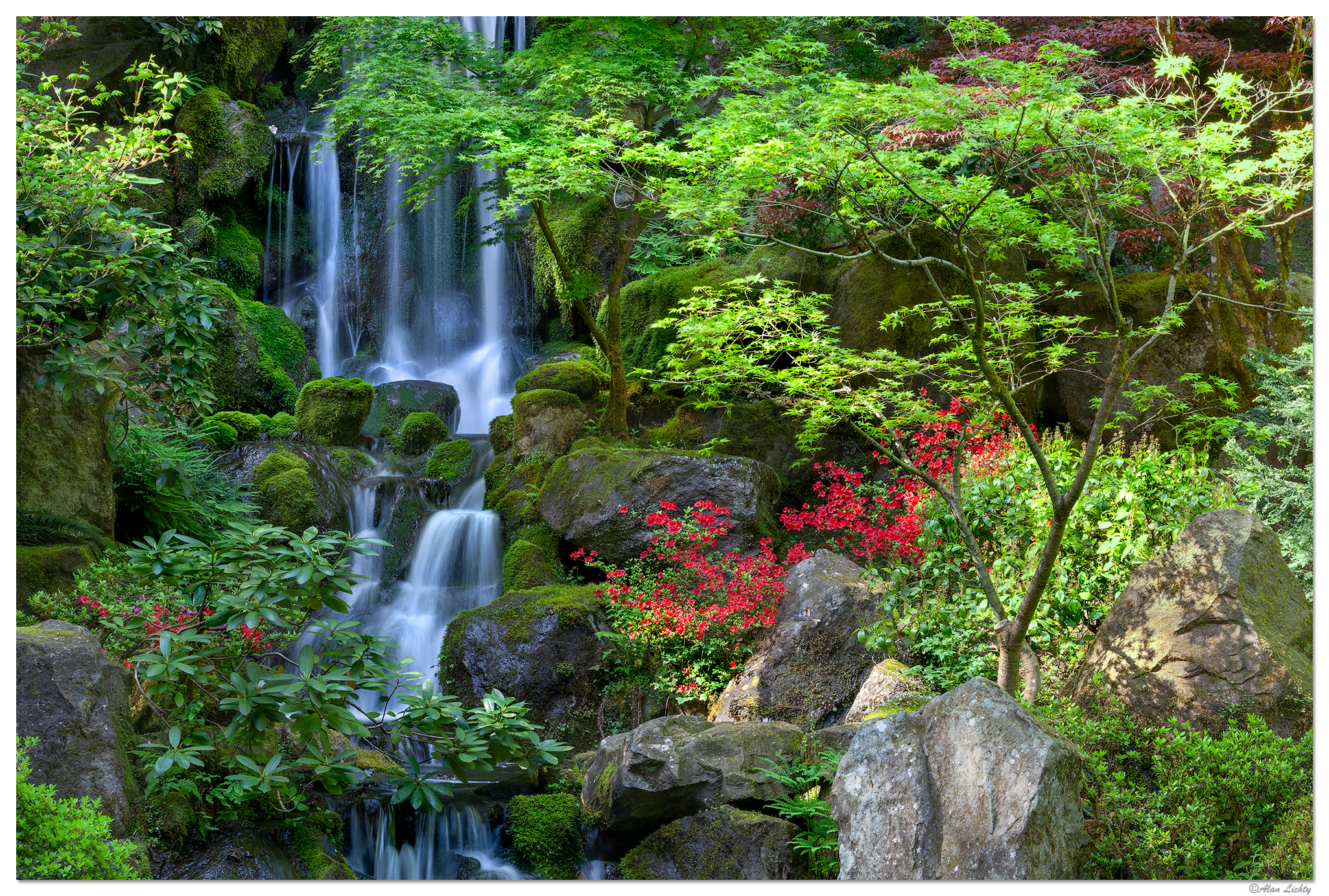 PJG-HeavenlyAzaleas051709.jpg