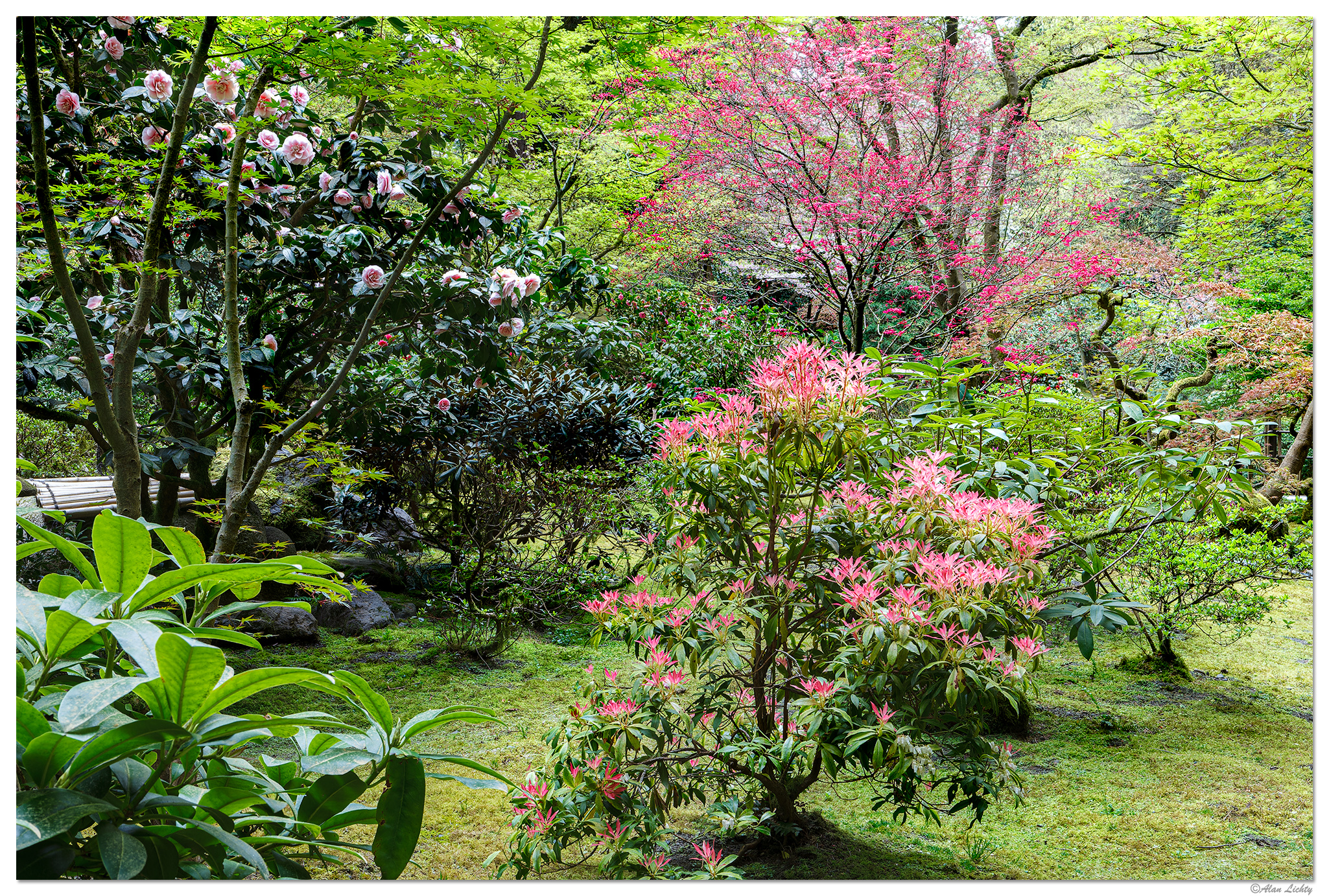 PJG-UpperTeaGarden042209.jpg