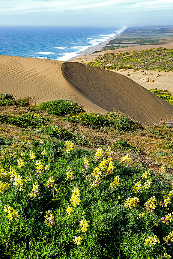 Point Reyes.jpg