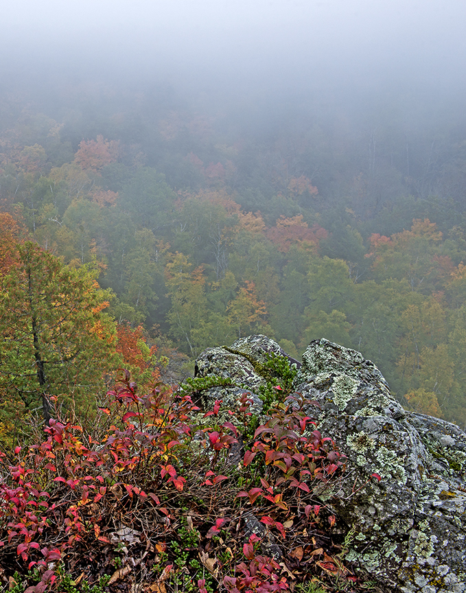 Porcupine Mtns fog.jpg