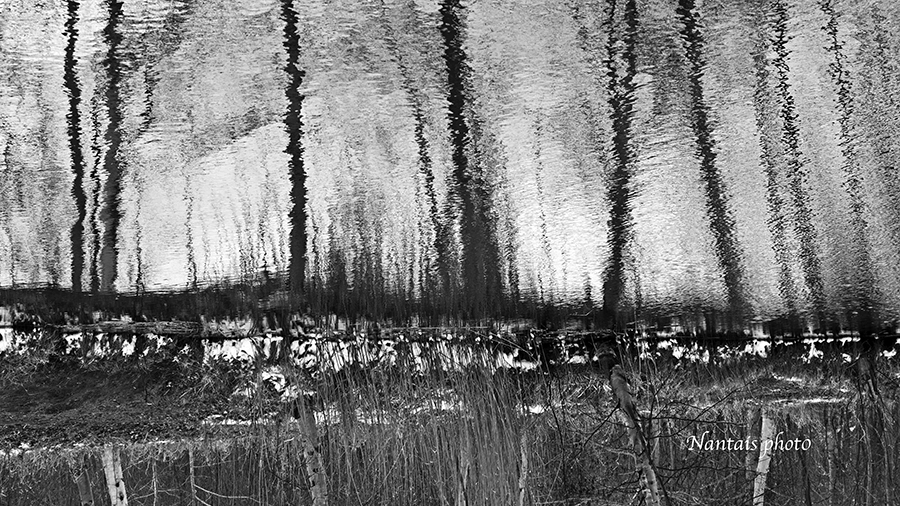 PRN_1604s.jpg