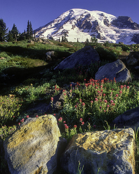 Pumice Blocks at Mt. Rainier.jpg