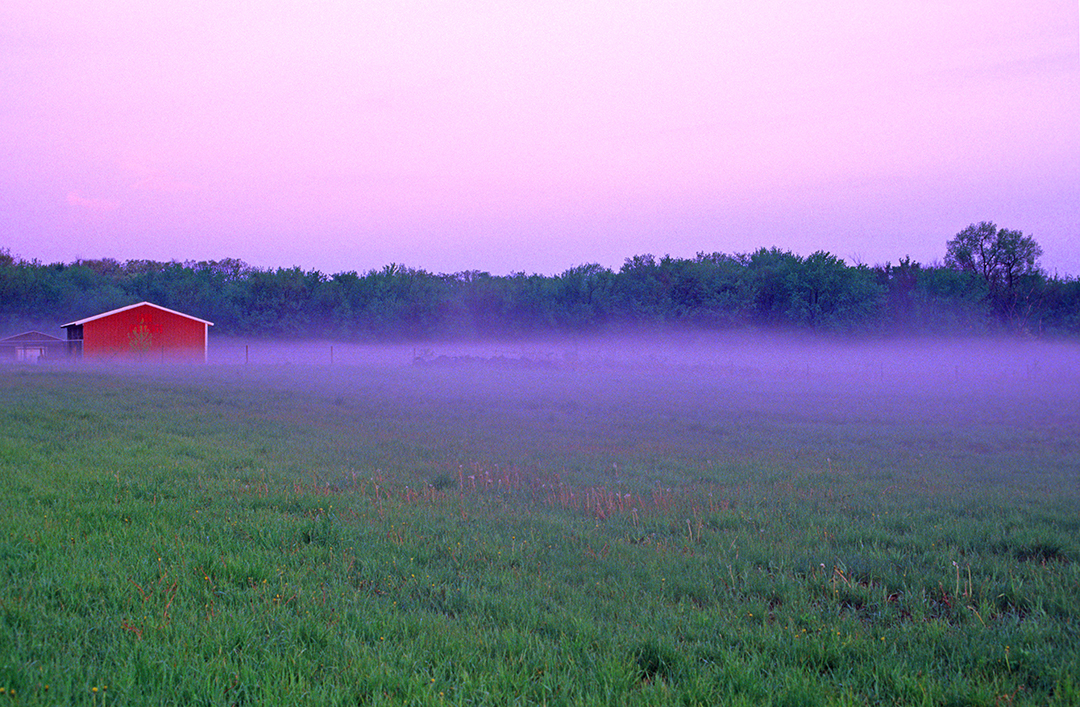 radiation fog IL.jpg