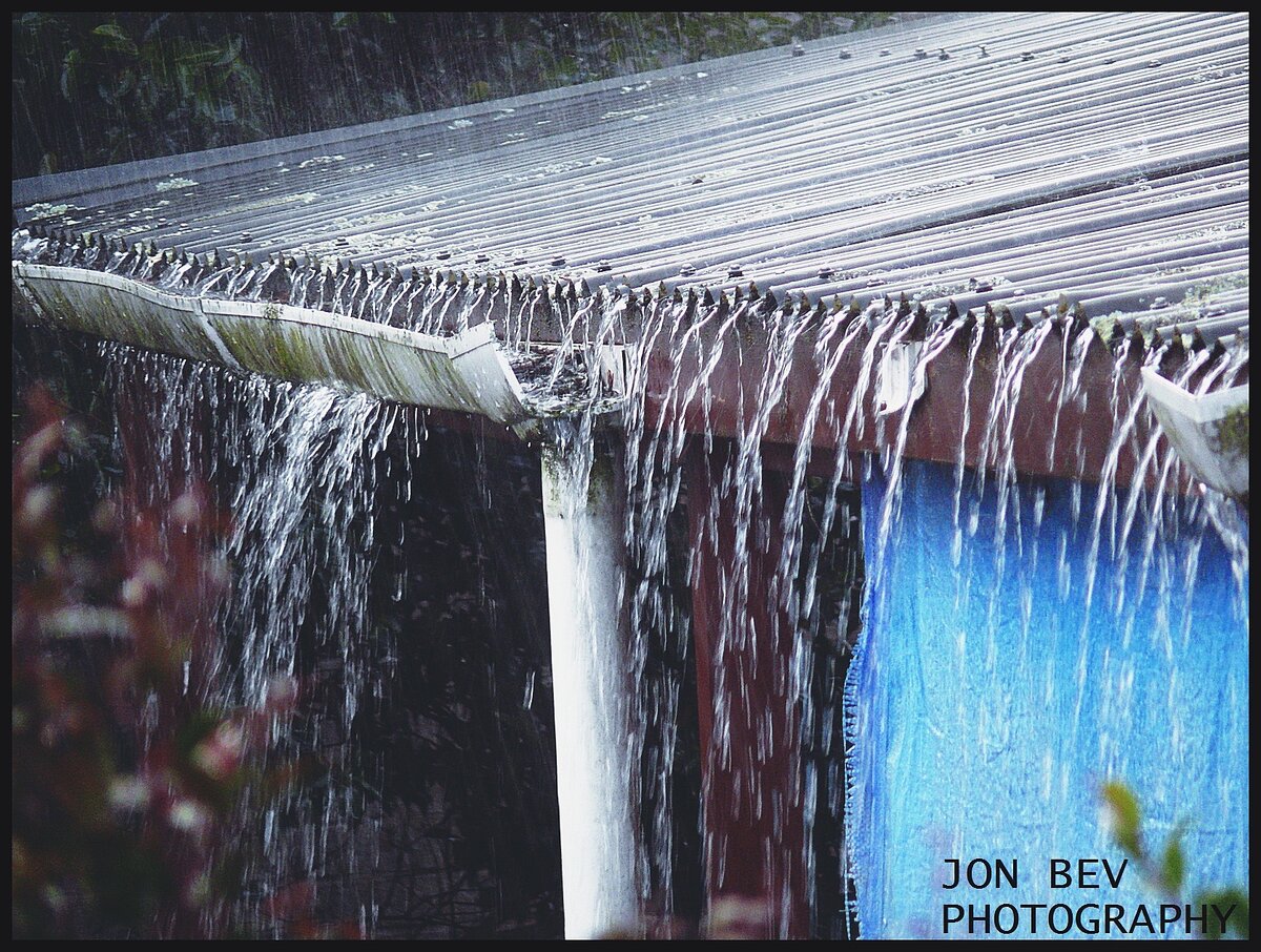 rain 1.JPG
