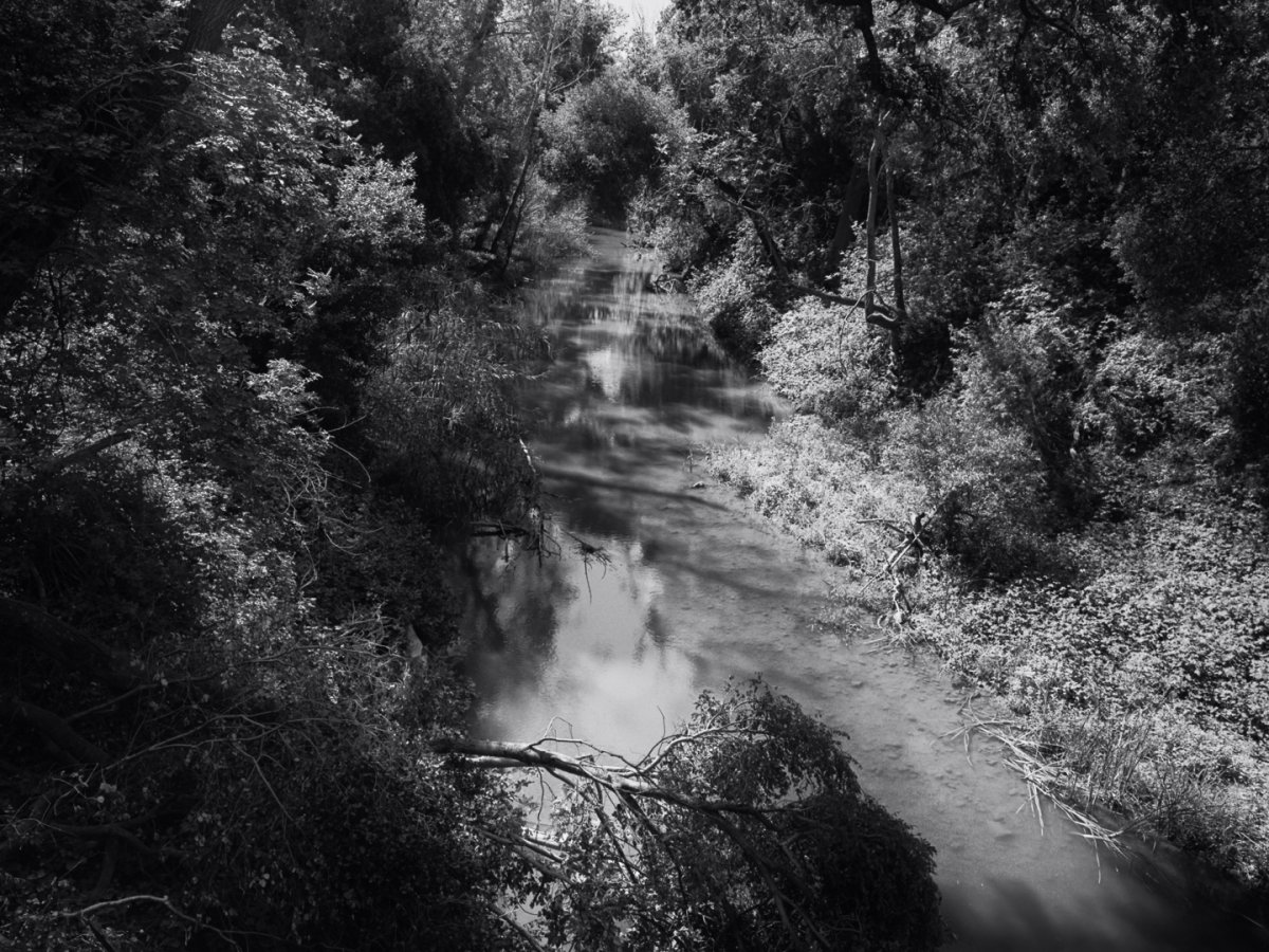 RB67_190508_010w.jpg
