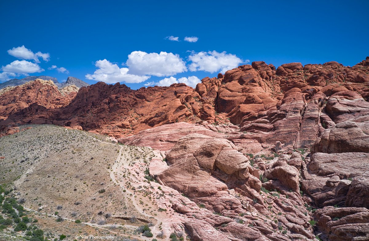 Red Rock 3.jpg