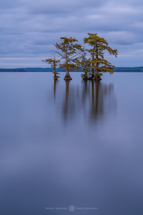 Reelfoot-2020-1116-ReelfootBlues-POTN.jpg