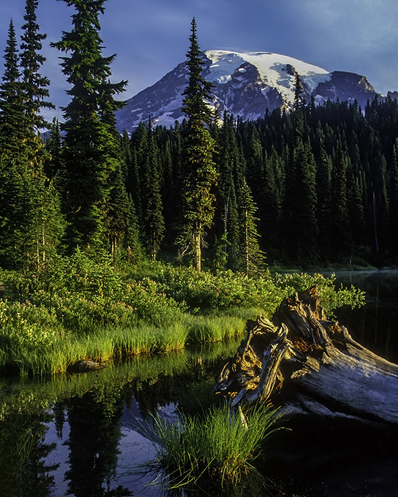 Reflection Lake and log, Mount Rainier National Park, WA final.jpg