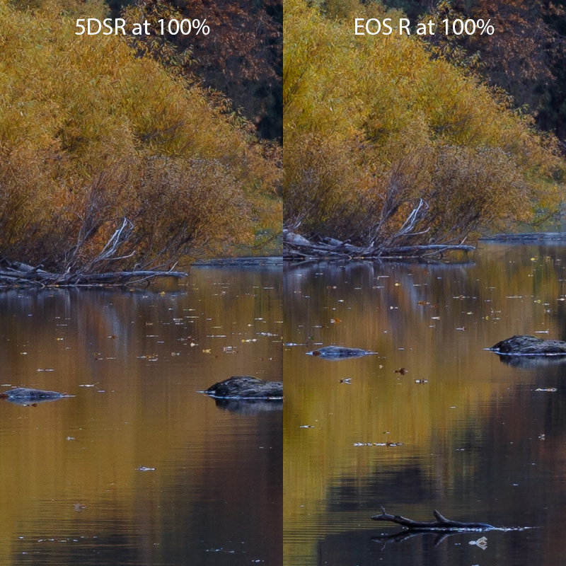 ReflectionsComp.jpg
