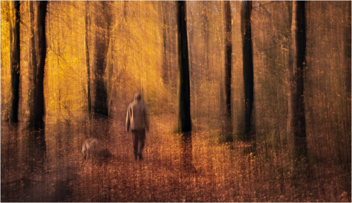 Rennie K A Walk in the Woods desat2.jpg
