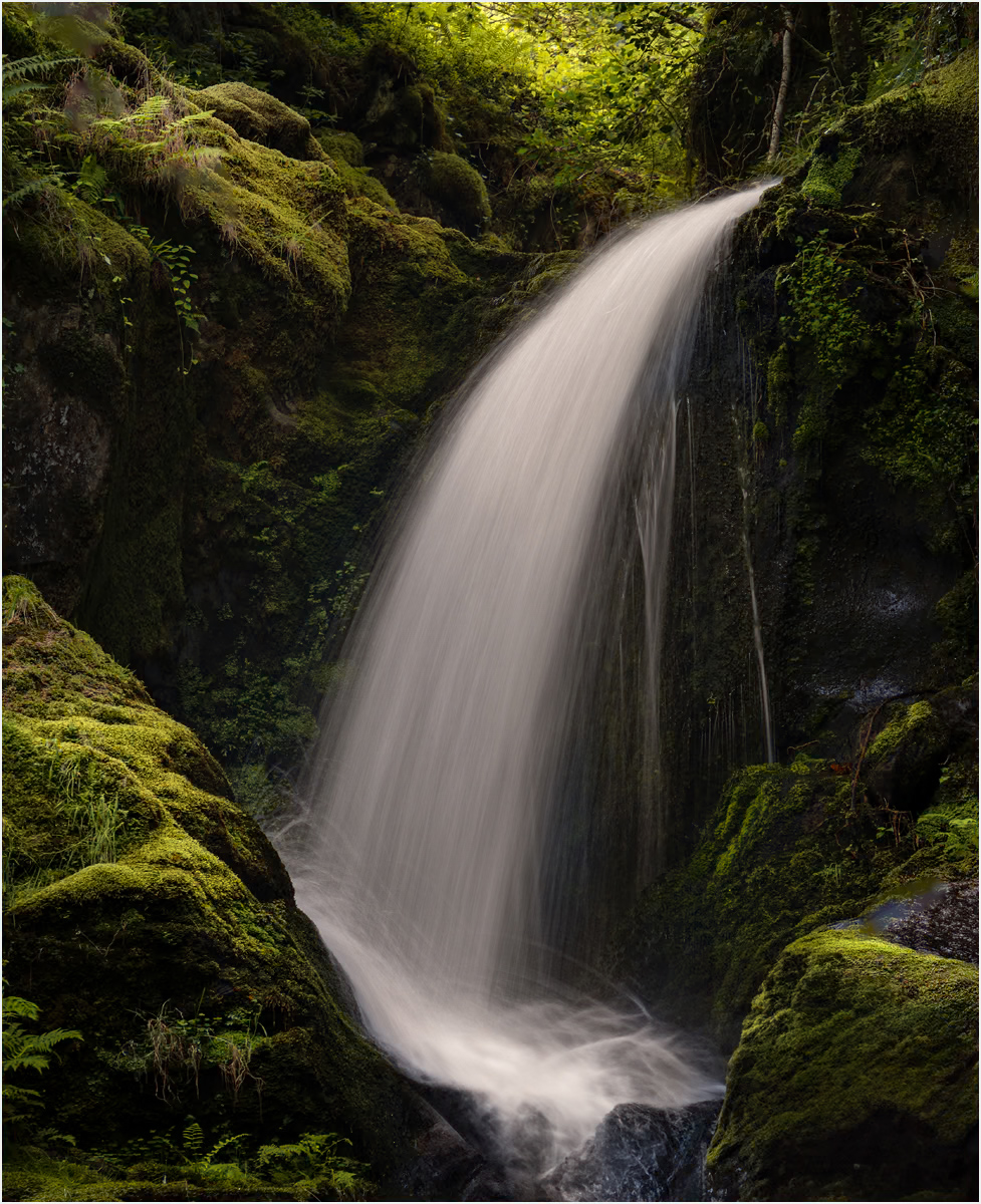 RennieK Summer Falls.jpeg