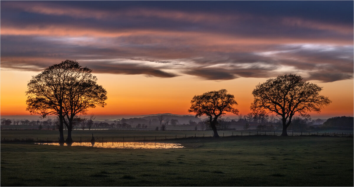 RennieK Winter Sunset.jpg