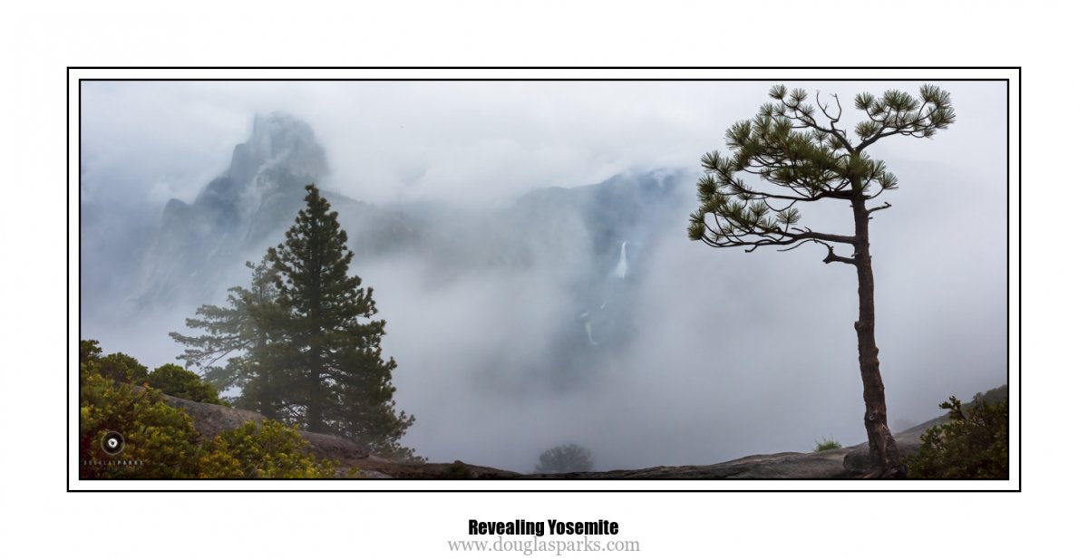 Revealing Yosemite.jpg