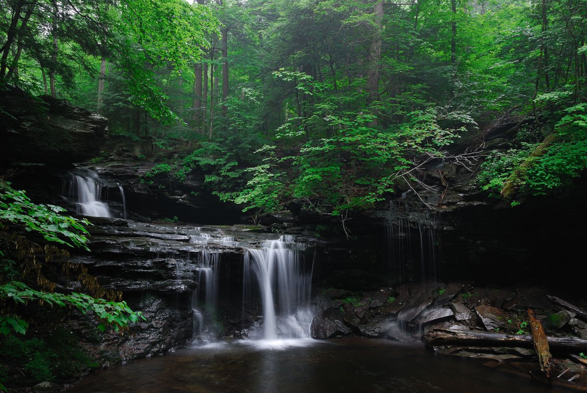 RickettsGlen-2.jpg