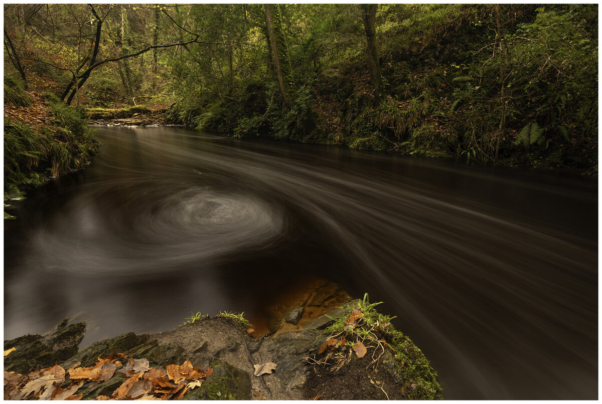River Swirls with Bert and I.jpg
