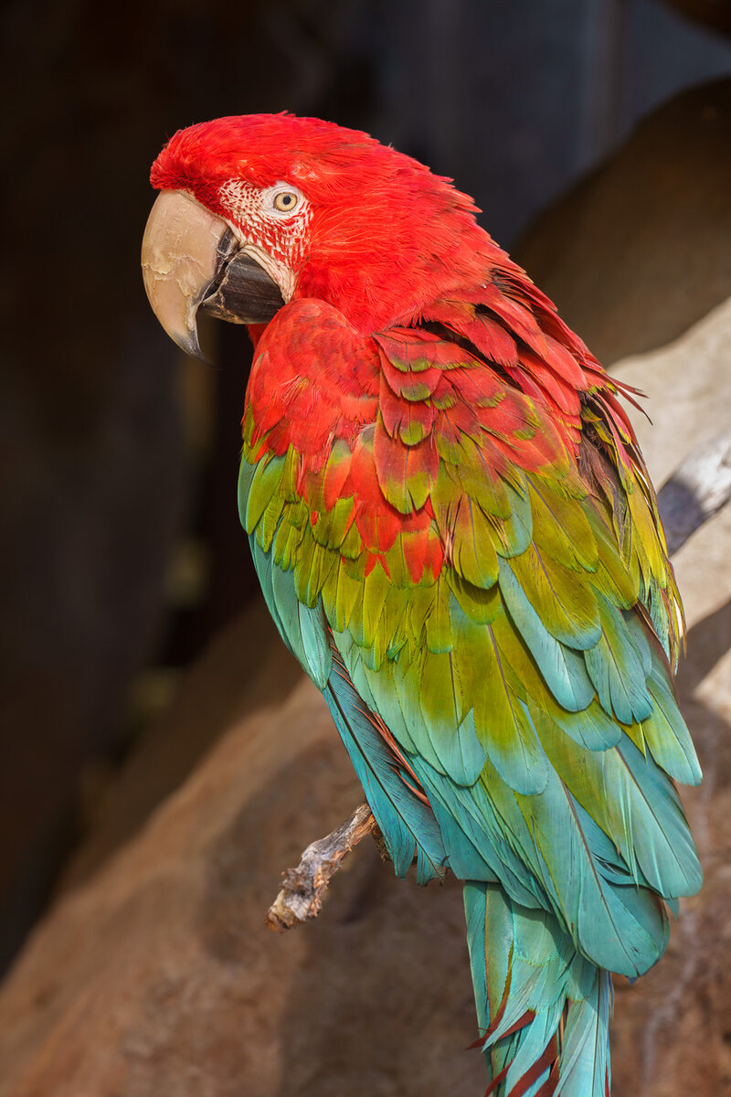 RJI00560-2.jpg