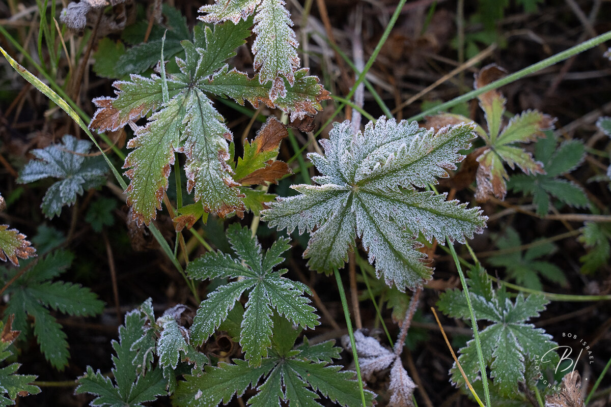 RJI03140-Edit.jpg