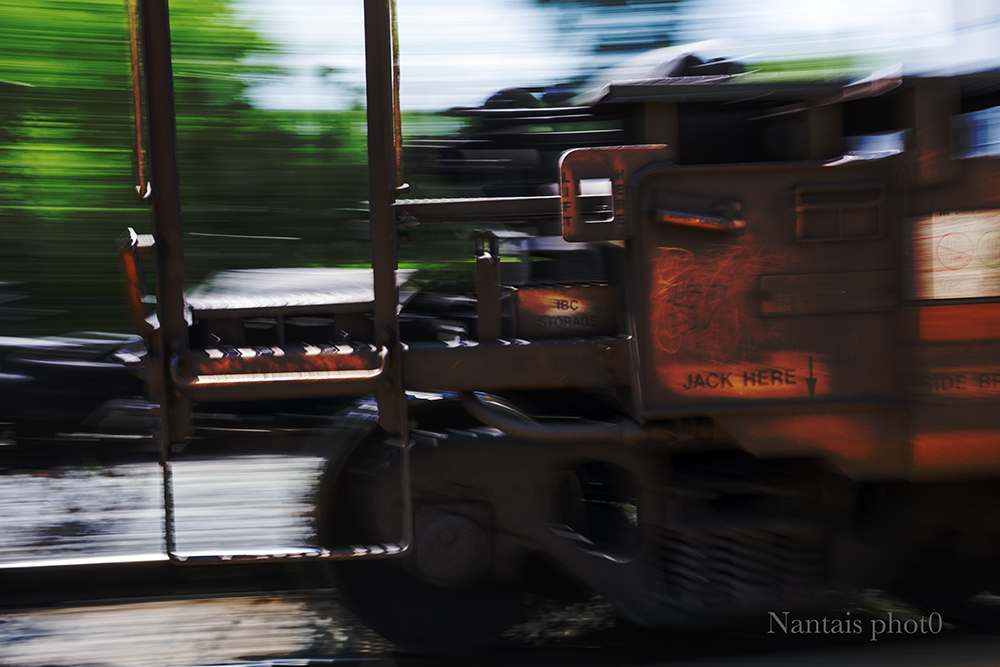 RNZ_0093s.jpg