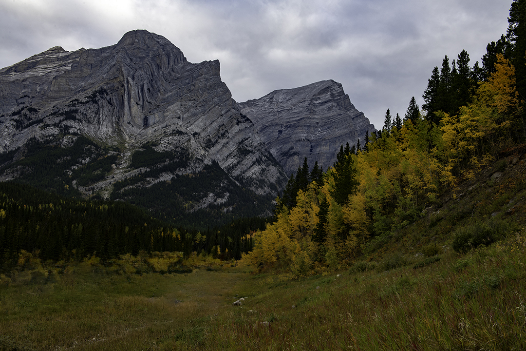 road and mt kidd II.jpg