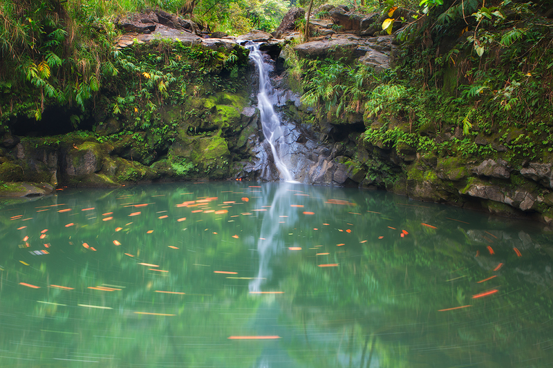 Road-to-Hana-waterfall-copy.jpg