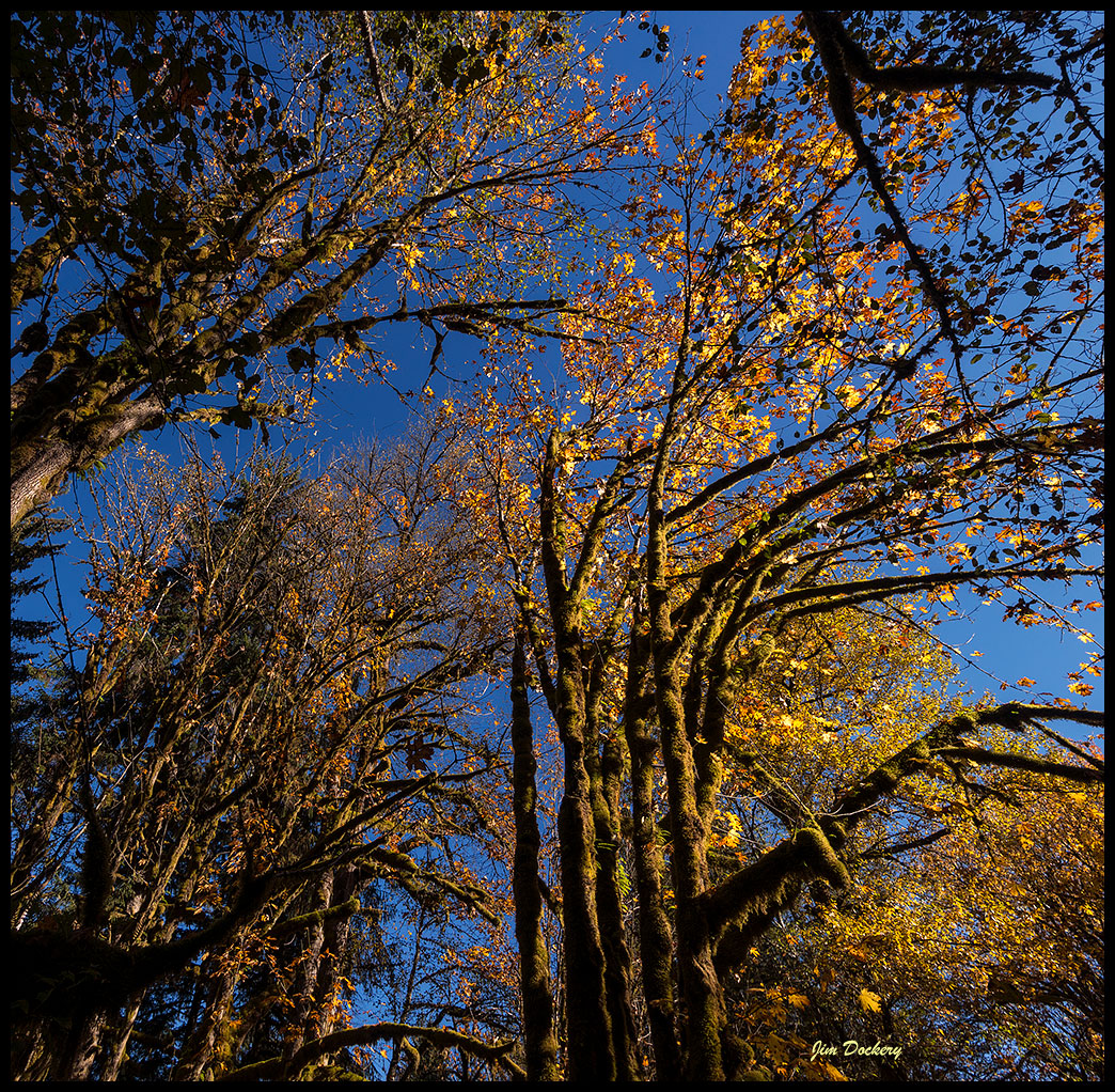 Robe-Valley-Trail-(75)-P-Pano.jpg