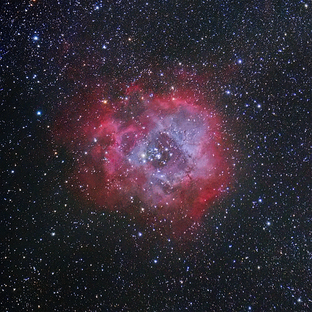 Rosette_Nebula_Combined_202002xx_dw.jpg