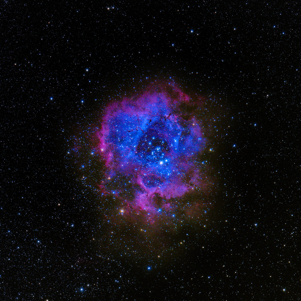 RosetteNebula_20211104_dw.jpg
