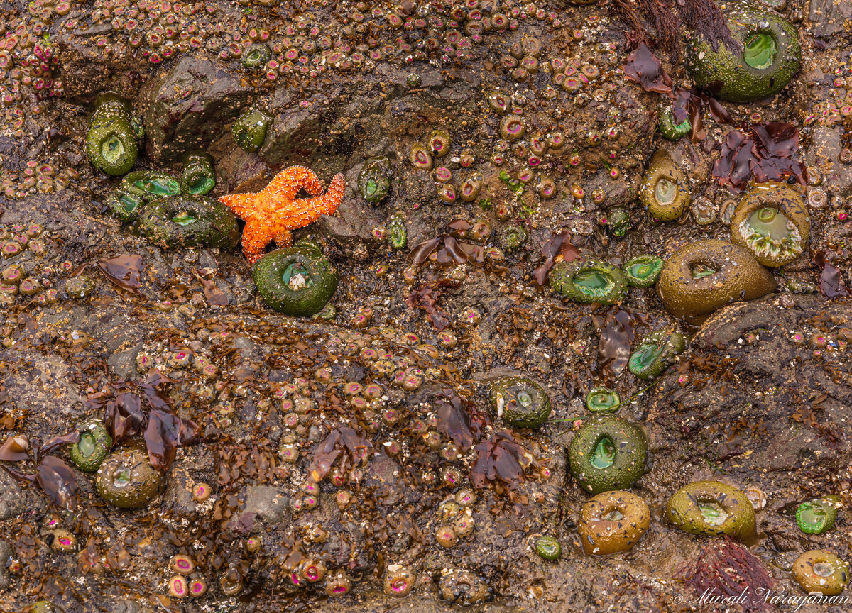 ruby-beach-1.jpg